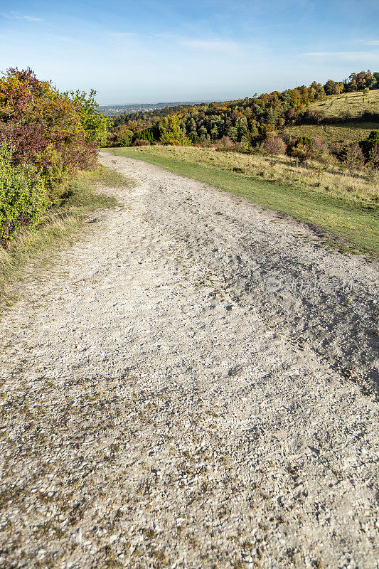 英国萨里郡的Box Hill